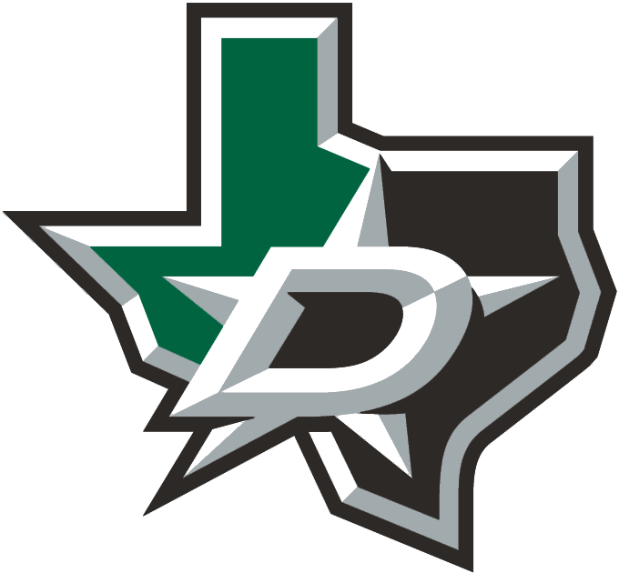 Dallas Stars 2013-Pres Alternate Logo v2 iron on heat transfer